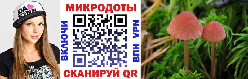 Псилоцибиновые грибы мухоморы Торопец