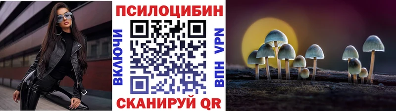Галлюциногенные грибы ЛСД  Торопец 
